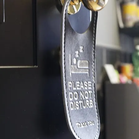 招待所 One Of One Experiences - Cinema